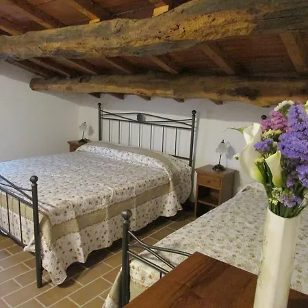 Bed & Breakfast Le Querce Di Campolungo San Giustino