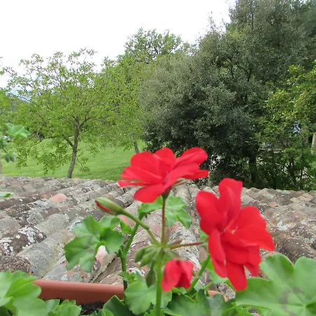 Bed & Breakfast Le Querce Di Campolungo