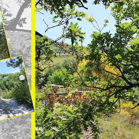 Le Querce Di Campolungo 3*