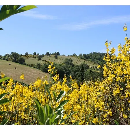 Le Querce Di Campolungo Alojamento de Acomodação e Pequeno-almoço 3*