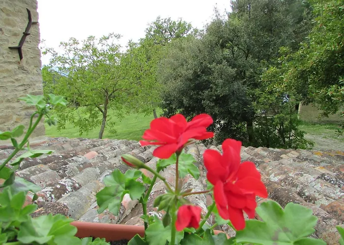 Bed & Breakfast Le Querce Di Campolungo