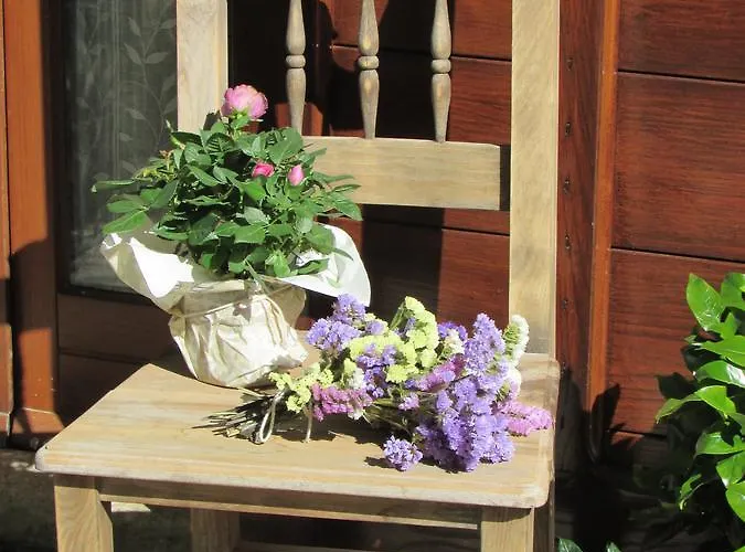 Bed & Breakfast Le Querce Di Campolungo San Giustino